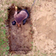 Image for article titled Lost Recap: He's Dug His Own Grave